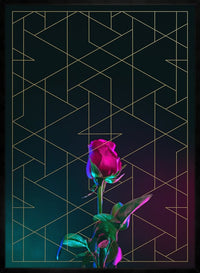 Rose Print