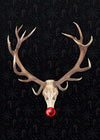 Rudolph Skull Print Black