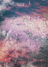 San Francisco Aerial View Photography Print