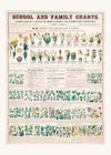 School and Family Charts - Classification of Plants Botanical Chart