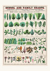 School and Family Charts - Leaves Stems Roots Flowers Diagram Print