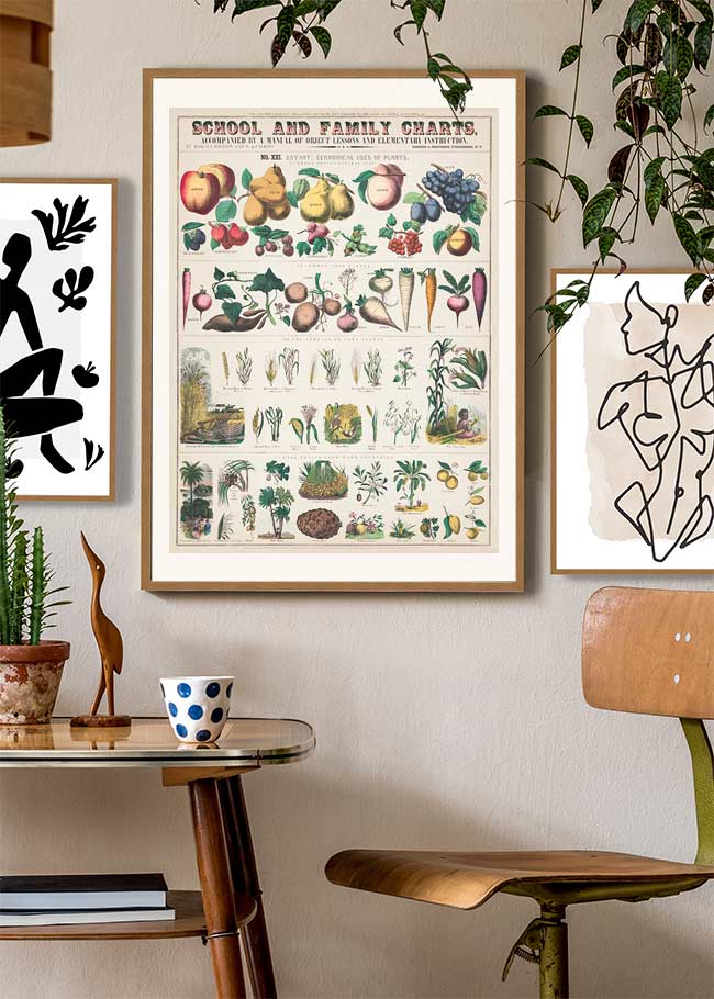 School and Family Charts - Uses of Plants 2 Botanical Print