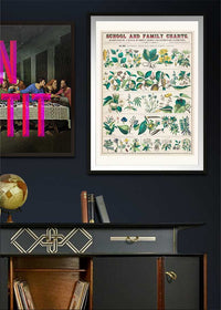 School and Family Charts - Uses of Plants Botanical Print