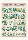 School and Family Charts - Uses of Plants Botanical Print