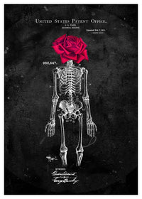 Skeleton Rose Print Black