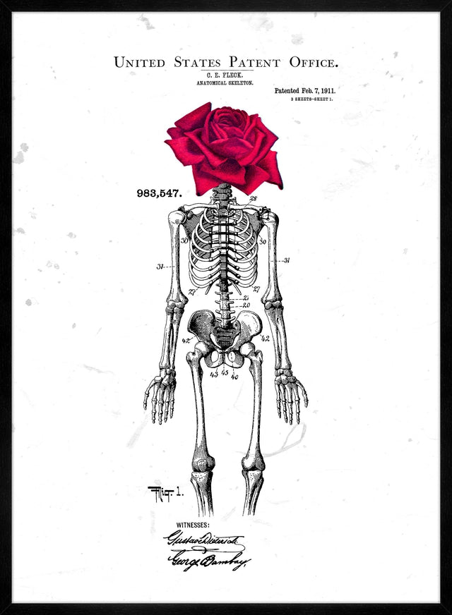 Skeleton Rose Print White