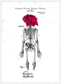 Skeleton Rose Print White