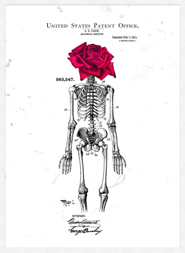 Skeleton Rose Print White