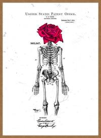 Skeleton Rose Print White