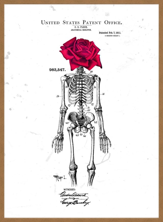 Skeleton Rose Print White