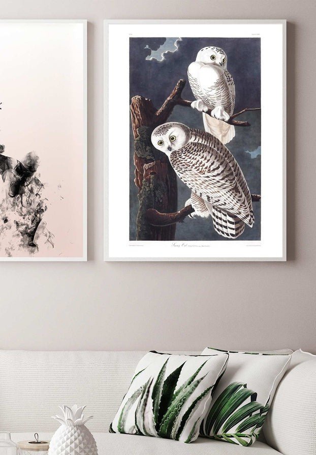 Snowy Owl Vintage Antique Bird Print