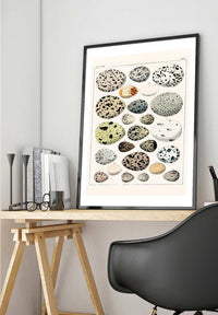 Speckled Eggs Vintage Antique Print