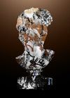 Statue 2 Graffiti Print
