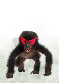 Super Chimp! Little Heroes Animal Print