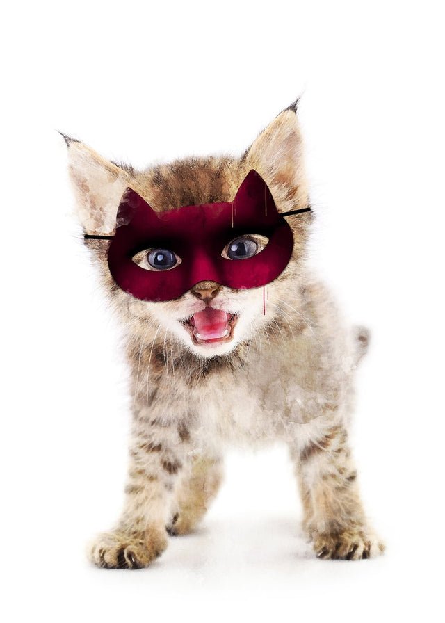 Super Kitten! Little Heroes Animal Print