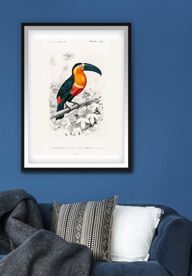 Toucan Vintage Bird Print