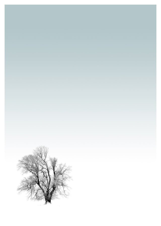 Tree Print