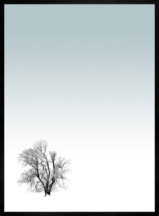 Tree Print