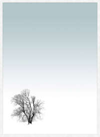Tree Print
