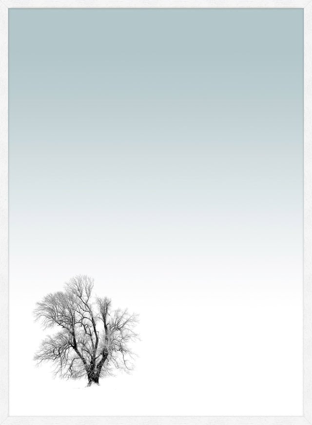 Tree Print