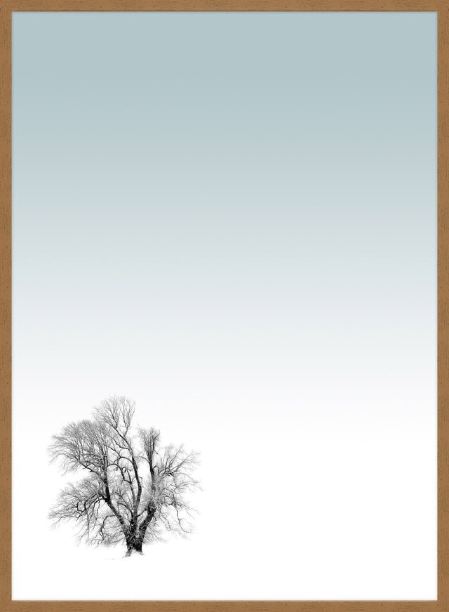 Tree Print
