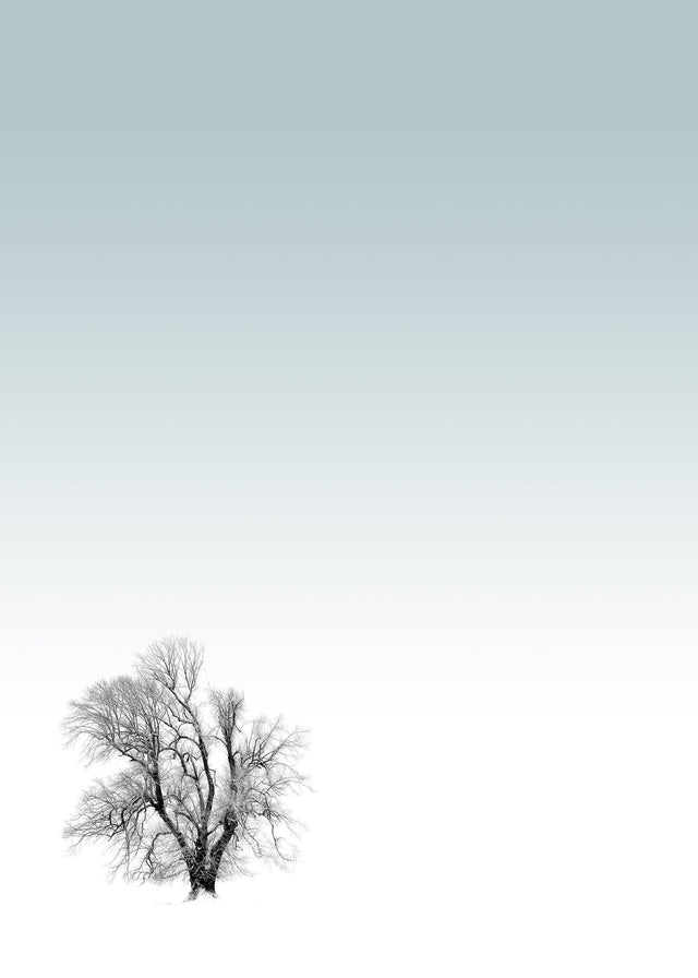 Tree Print