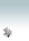 Tree Print