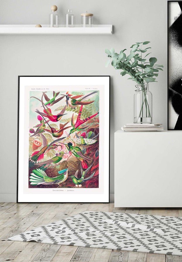 Tropical Birds Vintage Antique Print