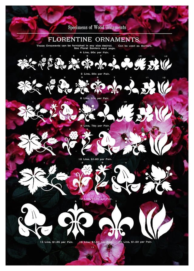 Typographic Ornaments Floral Print
