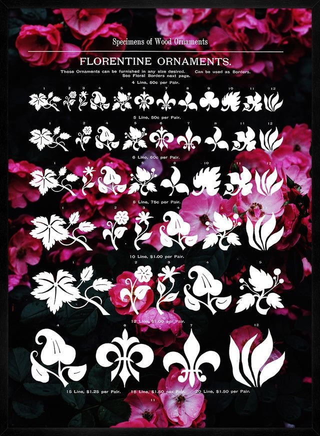 Typographic Ornaments Floral Print