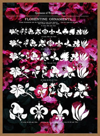 Typographic Ornaments Floral Print