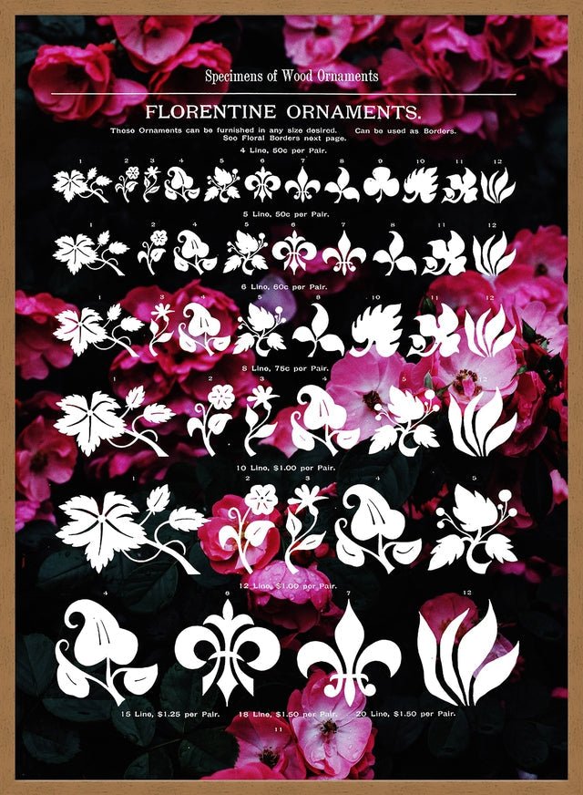 Typographic Ornaments Floral Print