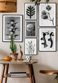 Vintage Botanical Study 1 Black and White Art Print