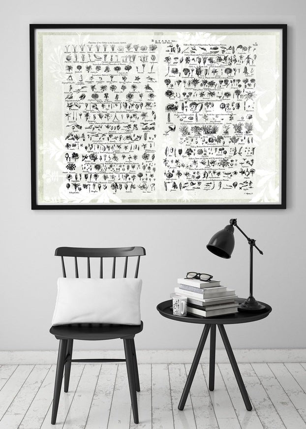 Vintage Botany Chart Light Print