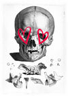 Vintage Skull Drawing Lipstick Eyes Print