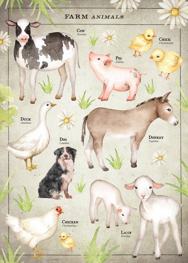 Vintage Style Farmyard Animals Chart Educational Print