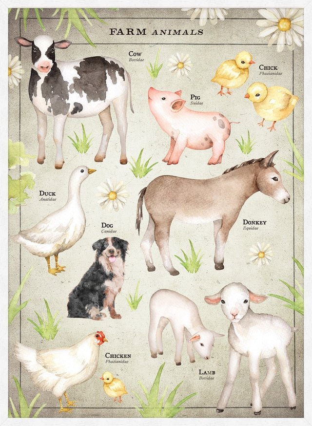Vintage Style Farmyard Animals Chart Educational Print