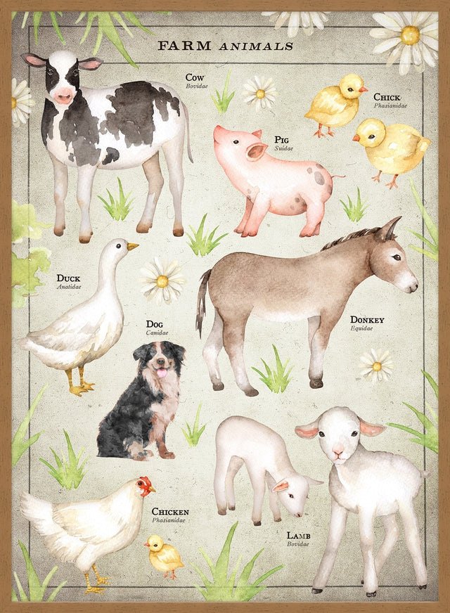 Vintage Style Farmyard Animals Chart Educational Print