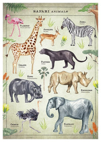 Vintage Style Safari Animals Chart Educational Print