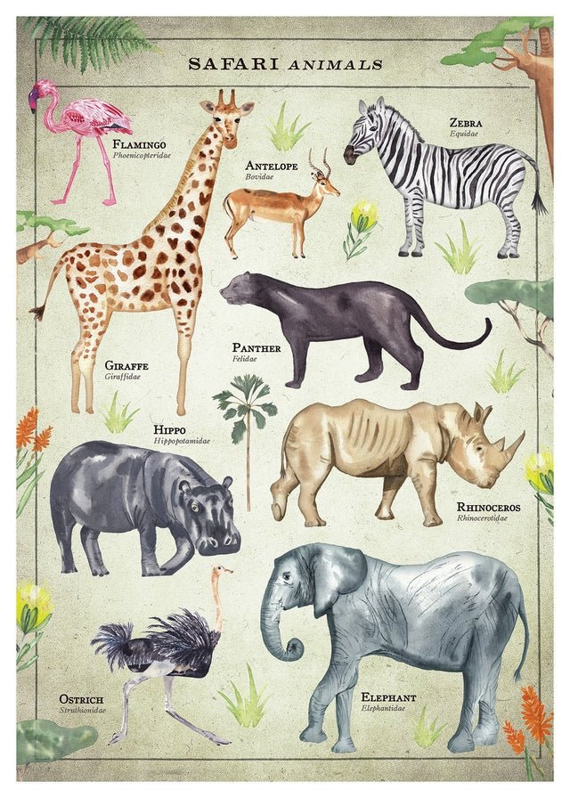 Vintage Style Safari Animals Chart Educational Print