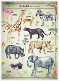 Vintage Style Safari Animals Chart Educational Print