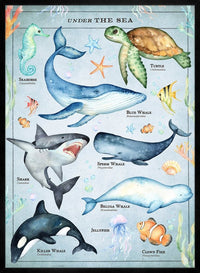 Vintage Style Sea Creatures Chart Educational Print