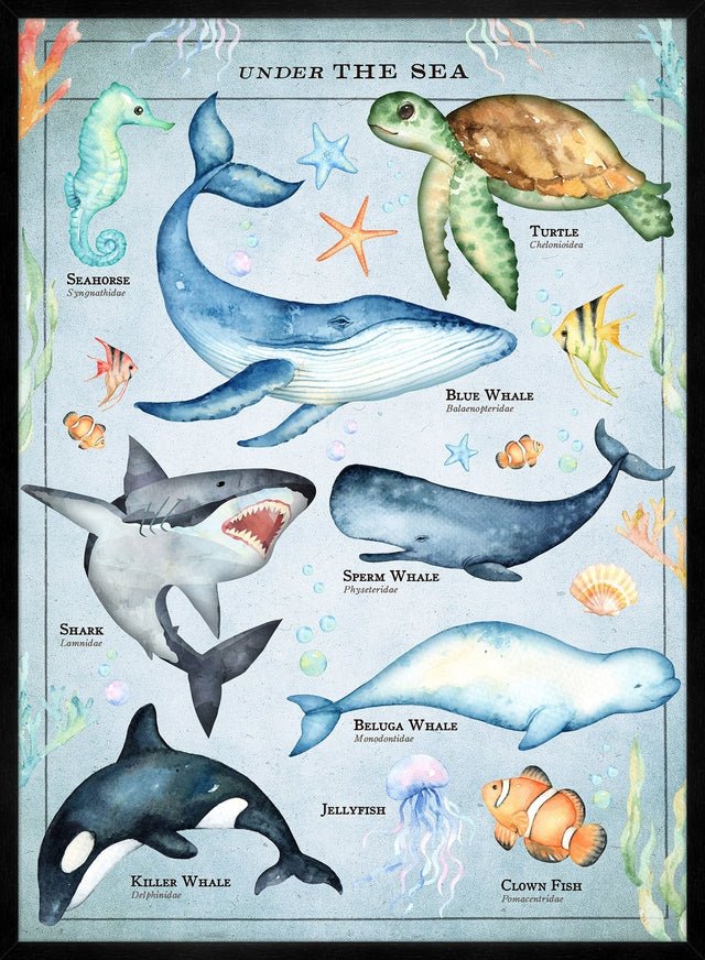 Vintage Style Sea Creatures Chart Educational Print