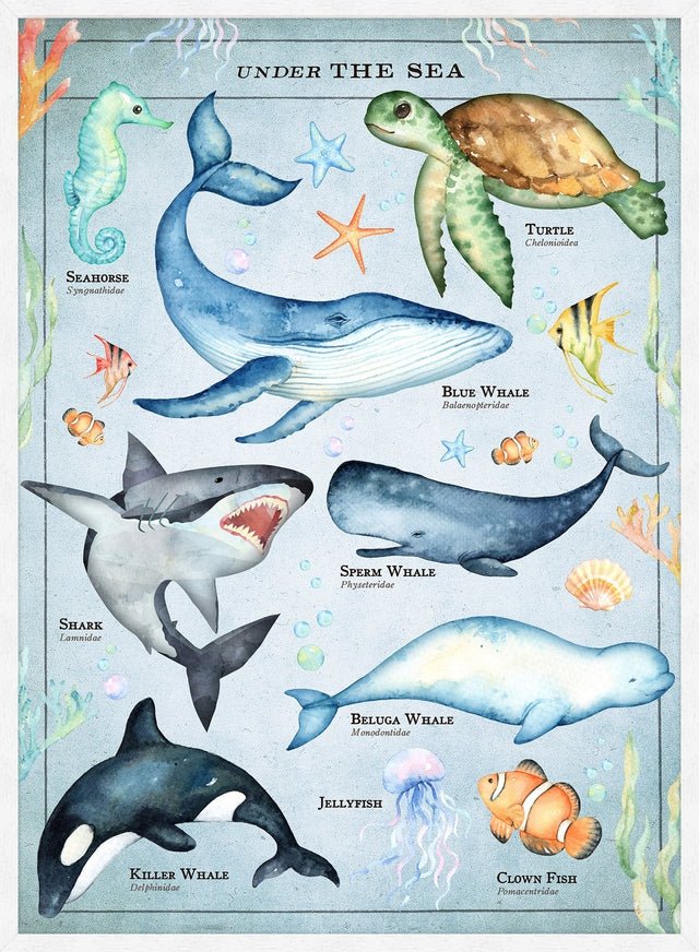 Vintage Style Sea Creatures Chart Educational Print