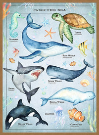 Vintage Style Sea Creatures Chart Educational Print