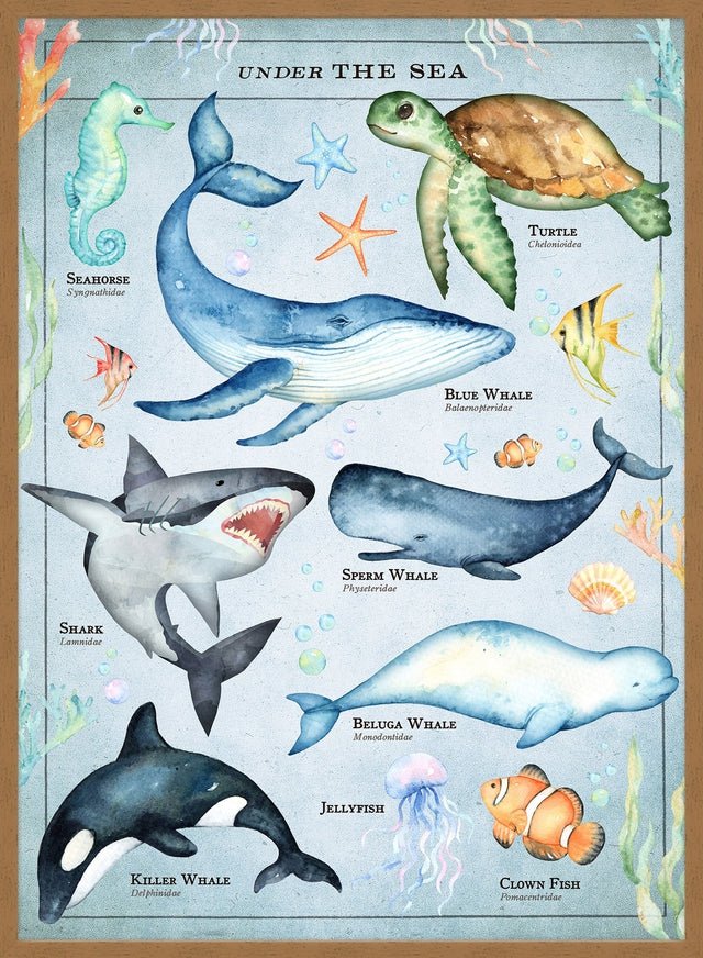 Vintage Style Sea Creatures Chart Educational Print