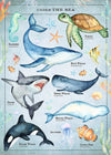 Vintage Style Sea Creatures Chart Educational Print