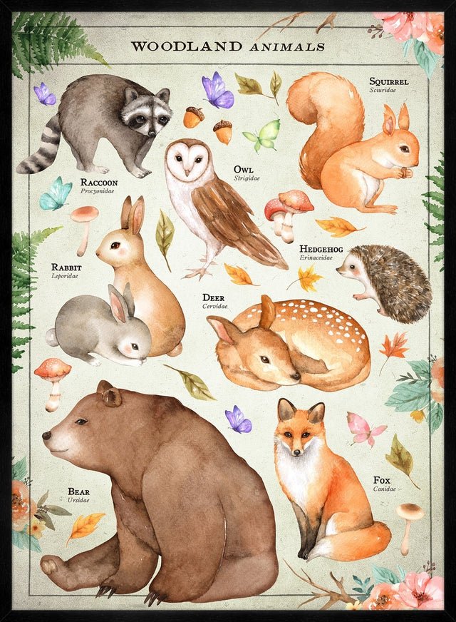 Vintage Style Woodland Animals Chart Educational Print