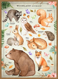 Vintage Style Woodland Animals Chart Educational Print