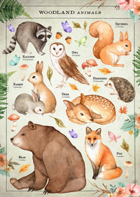 Vintage Style Woodland Animals Chart Educational Print